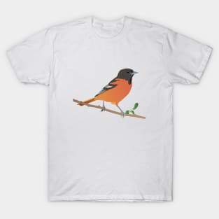 Baltimore Oriole Bird T-Shirt